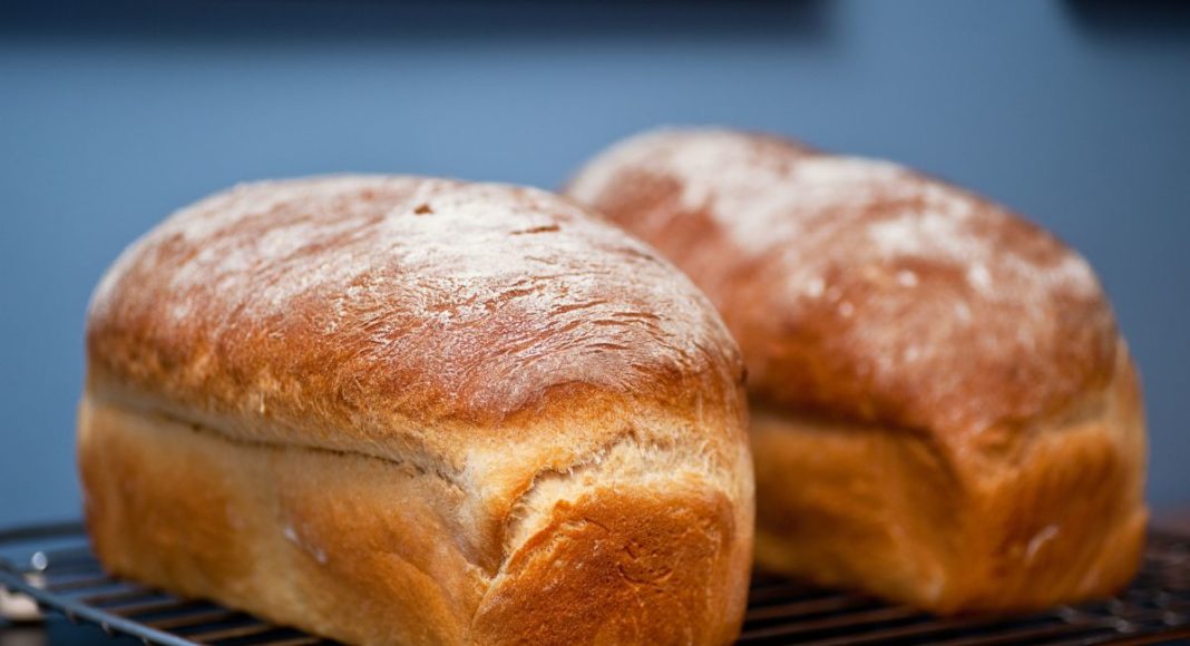 domaći kruh recept