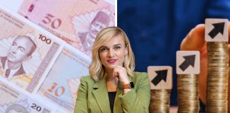 sanela karić o minimalcu