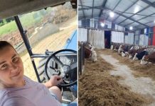 Zineta je vlasnica farme krava: “Grad? Ne hvala! Moja sloboda na selu nema cijenu!”
