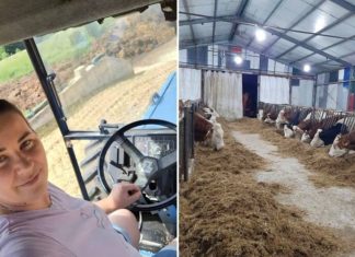 Zineta je vlasnica farme krava: “Grad? Ne hvala! Moja sloboda na selu nema cijenu!”
